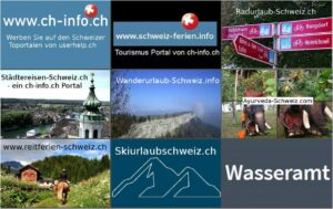 seo immobilien schweiz seo